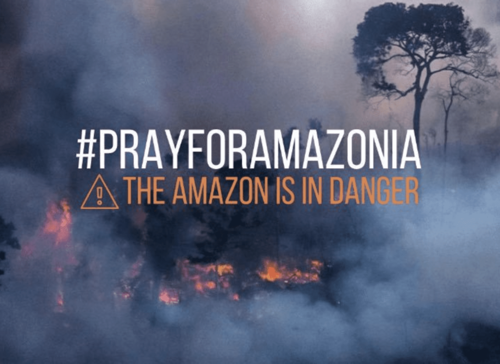Leonardo DiCaprio dona 5 mdd para salvar la Amazonia