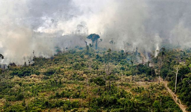 Leonardo DiCaprio dona 5 mdd para salvar la Amazonia