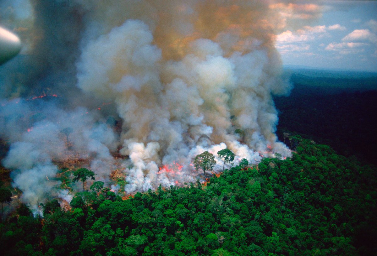 Donarán países del G7 20 MDD para apoyo a la Amazonia