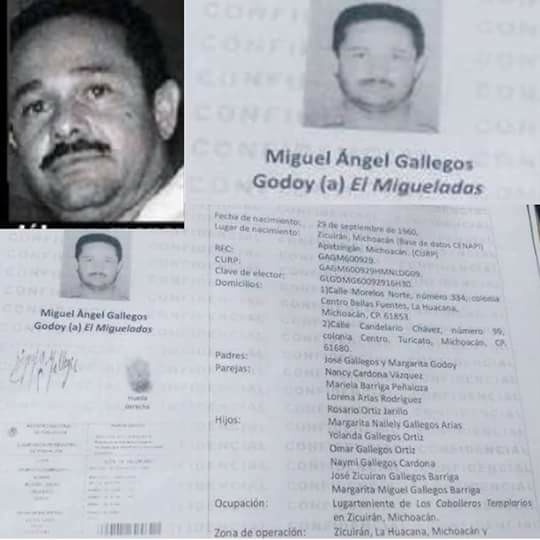 Migueladas, el nuevo “Rey de la Droga” en Michoacán: Héctor de Mauleón