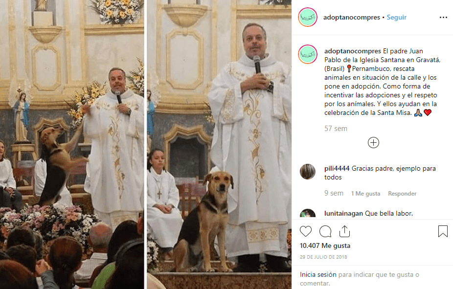 Cura rescata e incentiva adopción de perros callejeros durante misa
