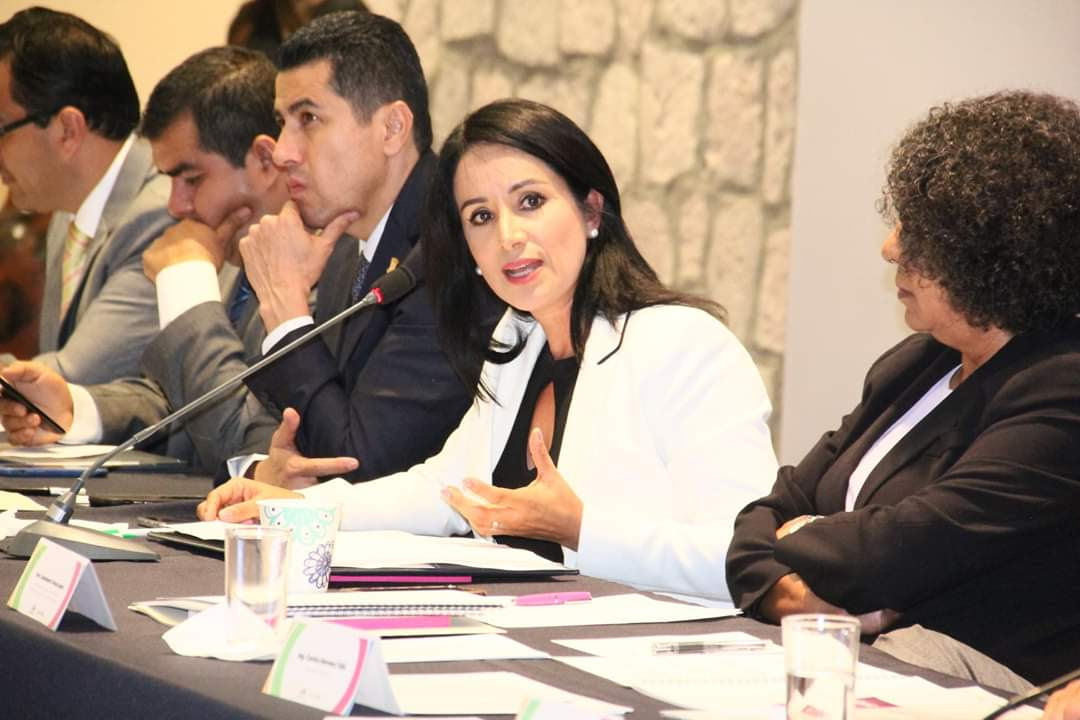 Congreso comprometido con protección de las mujeres: Lucila Martínez