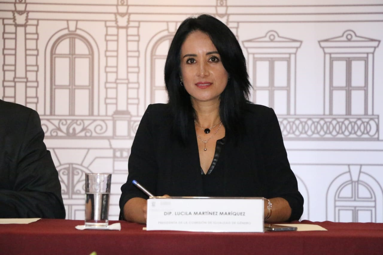 Congreso aliado de la lucha contra la discriminación y violencia: Lucila Martínez