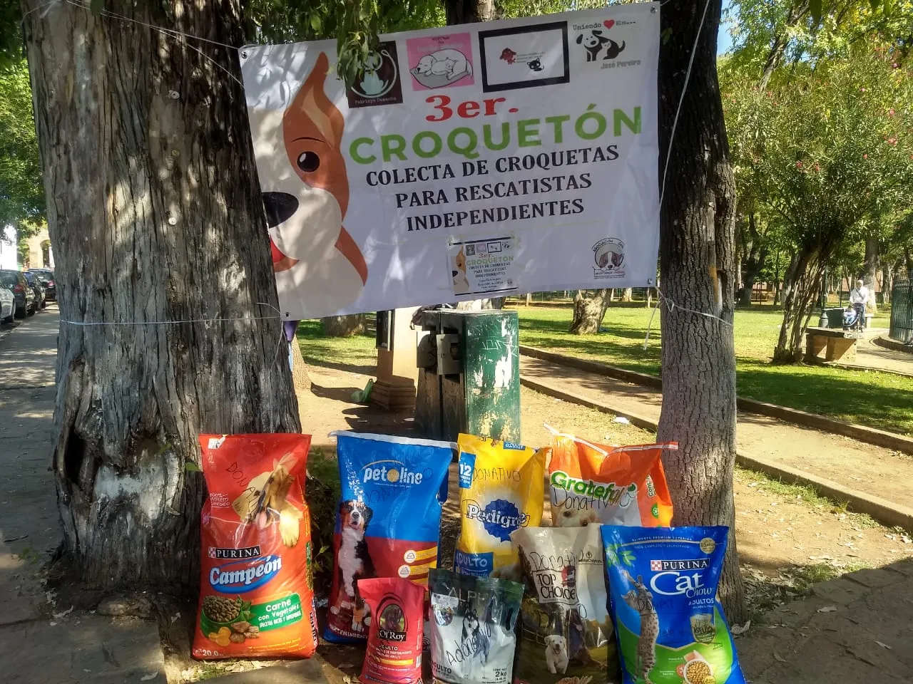 Tercer Croquetón busca generar más de una tonelada para perros rescatados