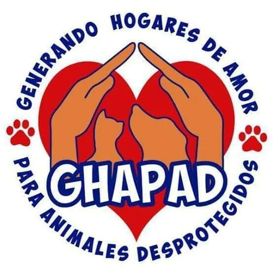 Ghapad tomará Centro de Atención Animal en Morelia