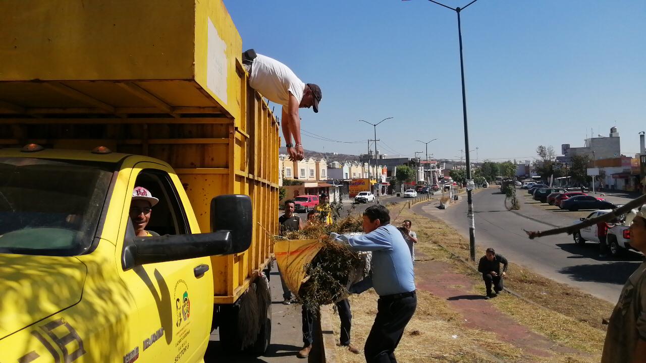 Gobierno municipal y vecinos, transforman áreas públicas de Villas del Pedregal