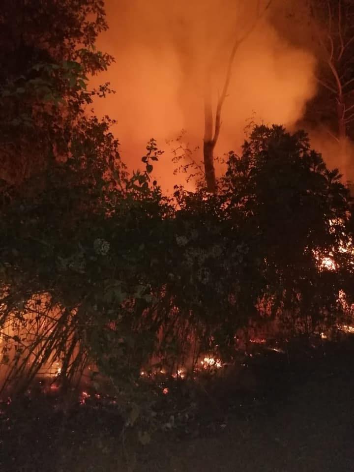 Reportan incendio en Parque Nacional de Uruapan