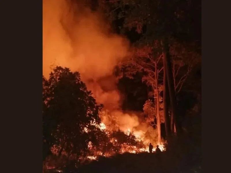 Un incendio provocado en el Parque Nacional Barranca del Cupatitzio, Uruapan, mantiene fuera de control a brigadistas que intentan proteger varias hectáreas afectadas