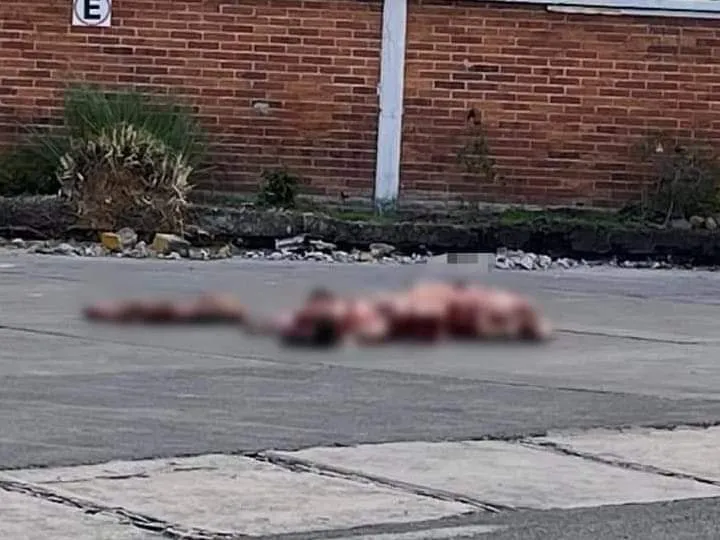 Hallan 4 cadáveres mutilados en Huandacareo