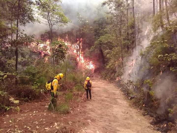 Suman 186 incendios en Michoacán; tres de propagación relevante
