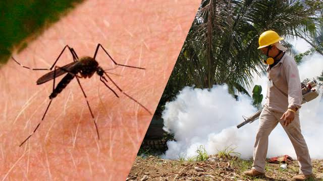 casos confirmados y probables dengue