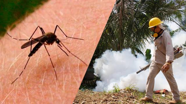 casos confirmados y probables dengue