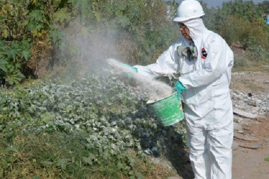 104 colonias de Morelia han sido fumigadas para evitar casos de dengue