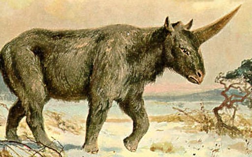 Descubren posible convivencia entre unicornios y homo sapiens