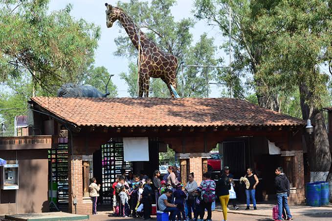 Por desatender medidas sanitarias, 50 personas reiteradas del zoológico