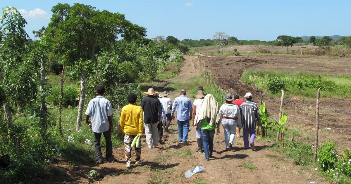 Apatzingán desplazados violencia Tierra Caliente