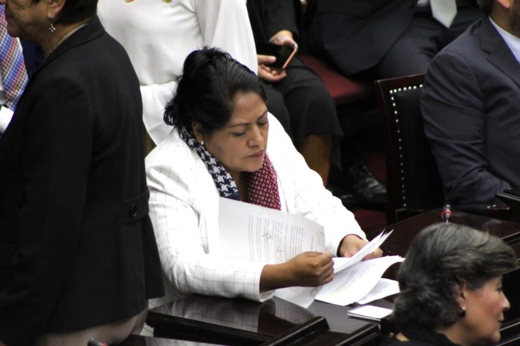 Trabajo legislativo necesario para la protección de la ciudadanía: Zenaida Salvador