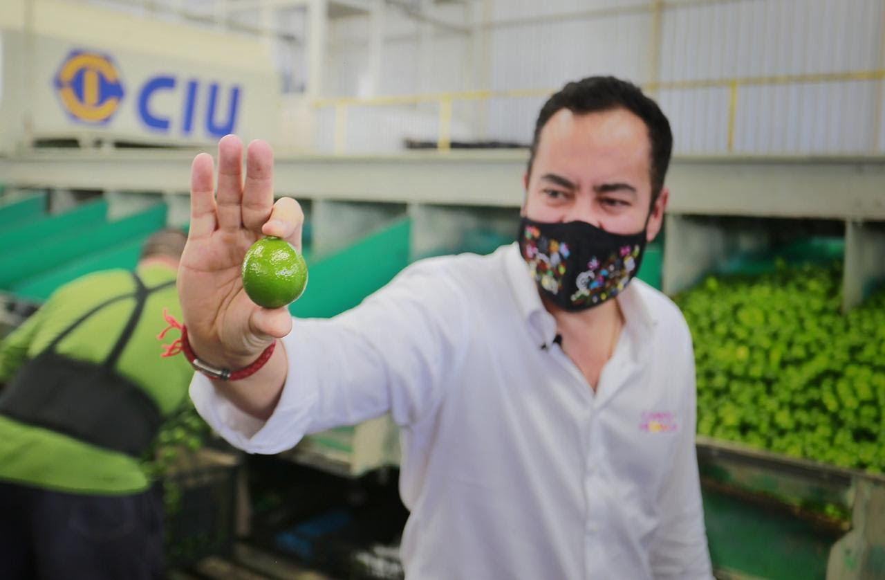 Apatzingán sea punta de lanza agricola