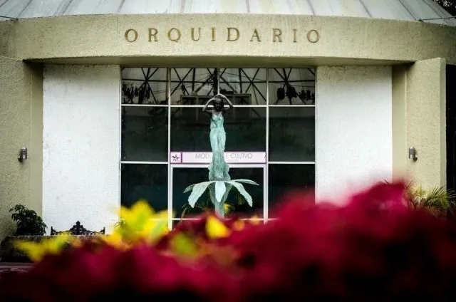 Comerciantes piden apoyo para instalarse en el Orquidario