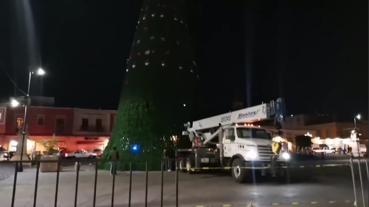 Comienza retiro de árbol monumental