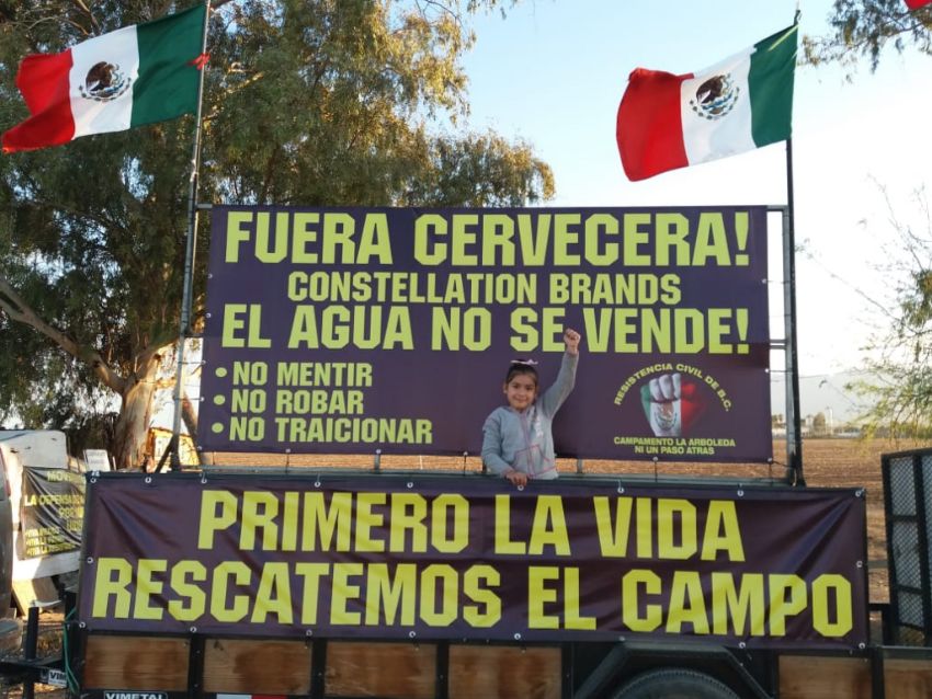 Amenazan a México por cancelación de Constellation Brands