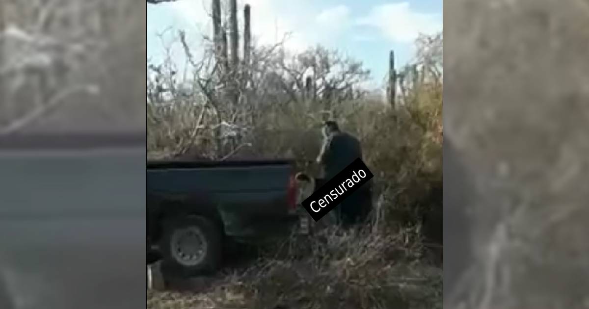 Hombre es buscado por violar a perrita