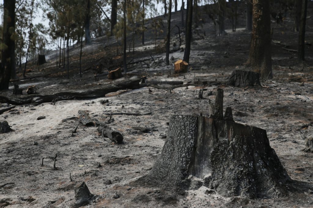 Michoacán, el tercero con más incendios forestales en México