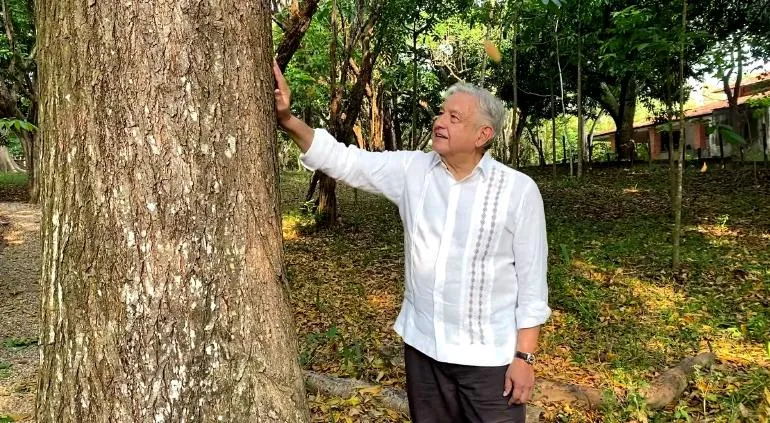 Sembrar árboles en Centroamérica son la solución ante la migración y el cambio climático AMLO