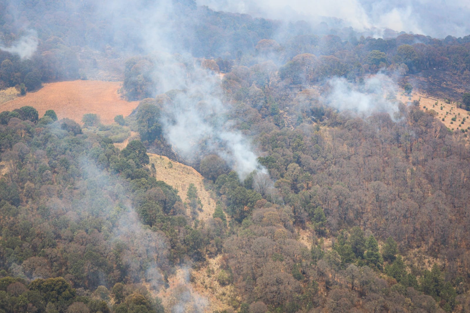 reactiva incendio en el Cerro del Águila