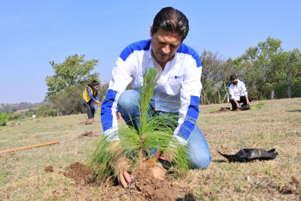 Alfonso Martínez reforestación Atécuaro