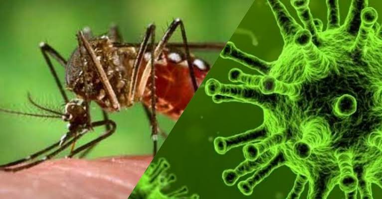 Ante temporada de dengue, riesgo que se presenten casos de covidengue en Morelia