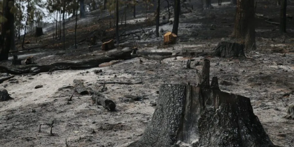 Contienen incendio en Cerro de la Cruz