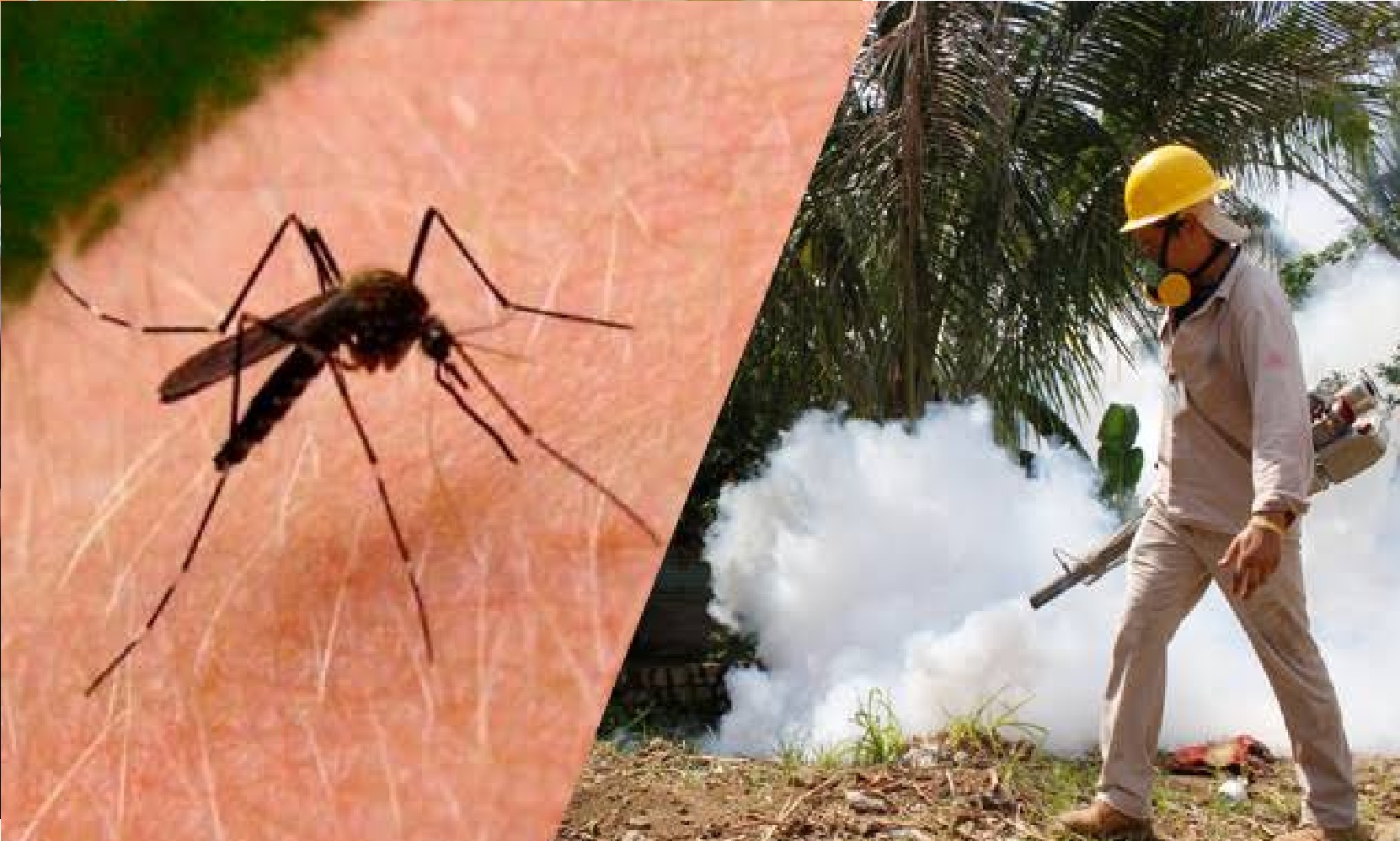 Un solo caso de dengue detectado en Morelia