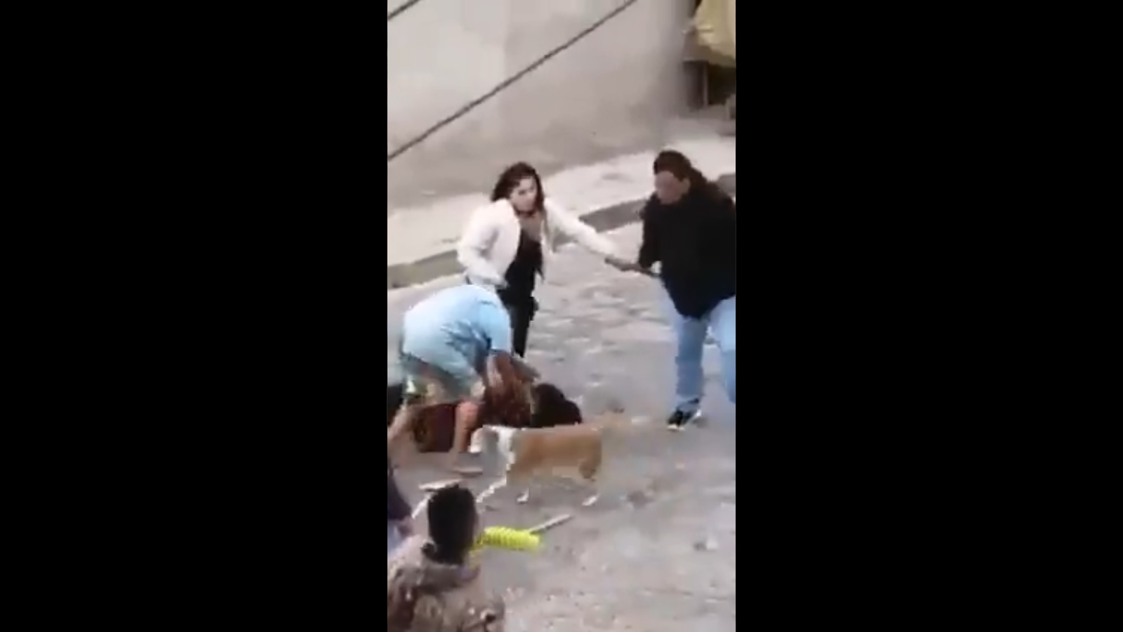 video familias pelándose machetazos