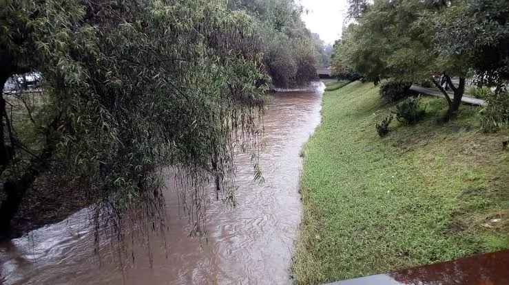 Ríos y drenes de Morelia sin riesgo de desborde