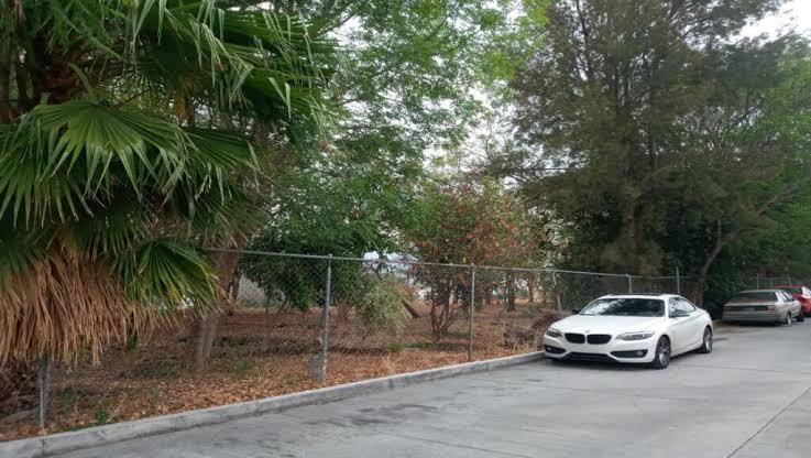 Área verde de Cosmos, no le pertenece a los vecinos Ayuntamiento