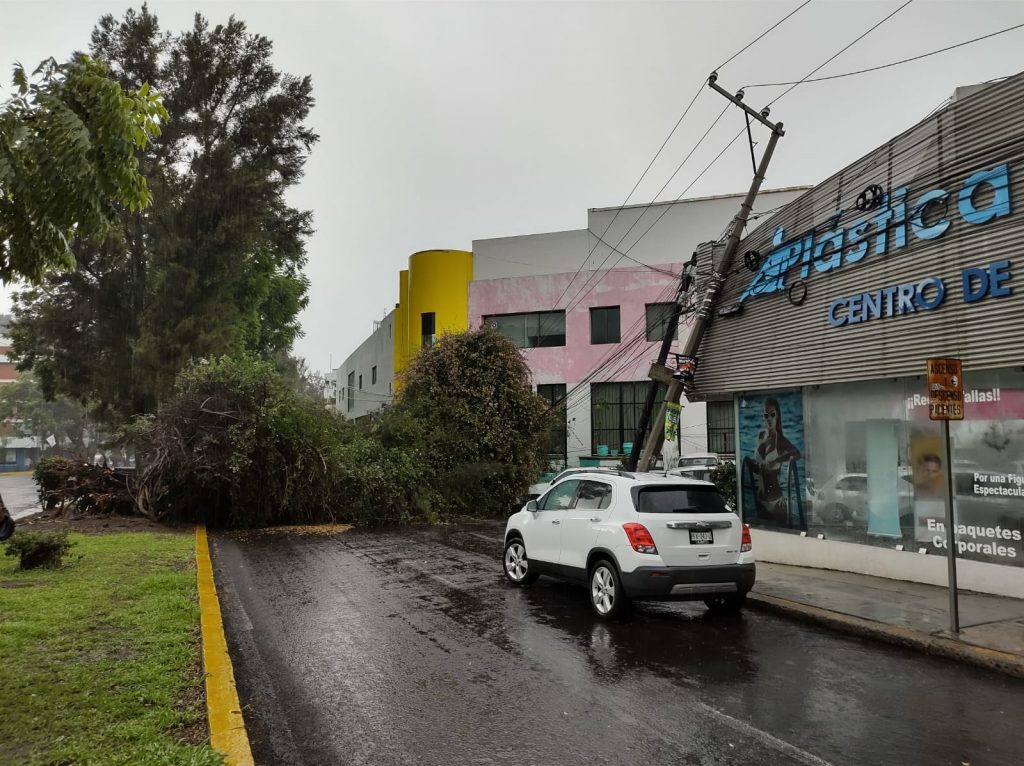 Encharcamientos caída de árbol lluvia 