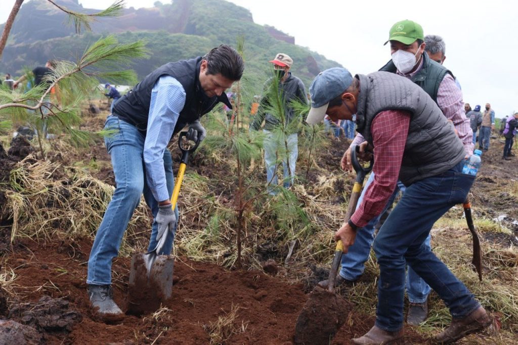 Arranca el programa de reforestación “Morelia Brilla”