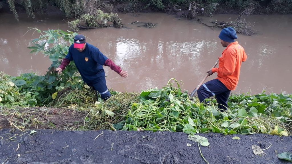 Ayuntamiento de Morelia la limpieza de ríos