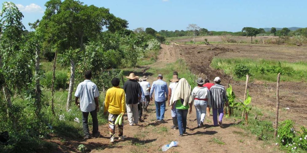 Reconoce Segob hasta mil desplazados en Tierra Caliente por inseguridad