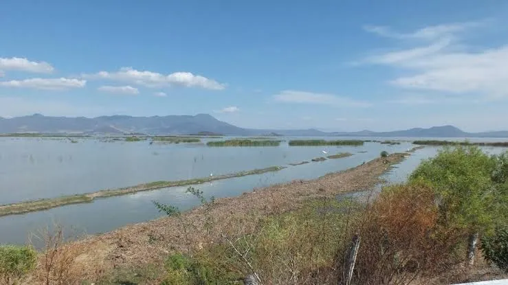 Estiman recuperación del lago de Cuitzeo hasta del 40%
