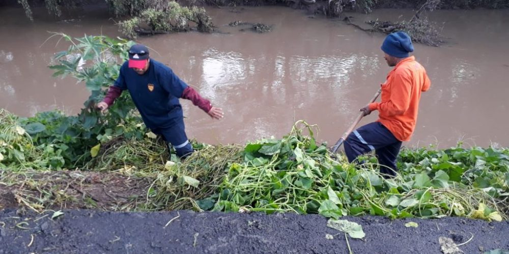 Desatención drenes morelianos basureros