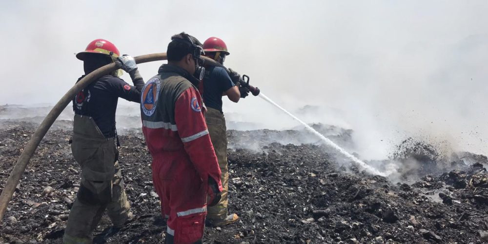 16 predios incendiados para cambio de uso de suelo