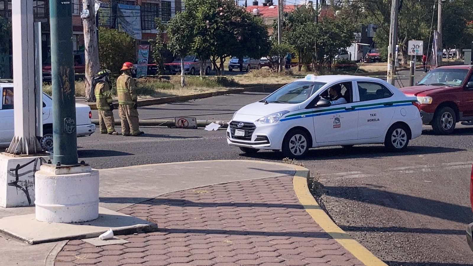 Camión derriba un poste con un panal de abejas