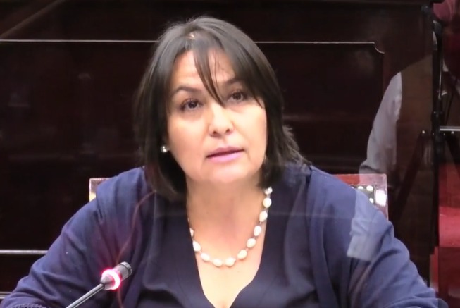 Diputadas Silvano