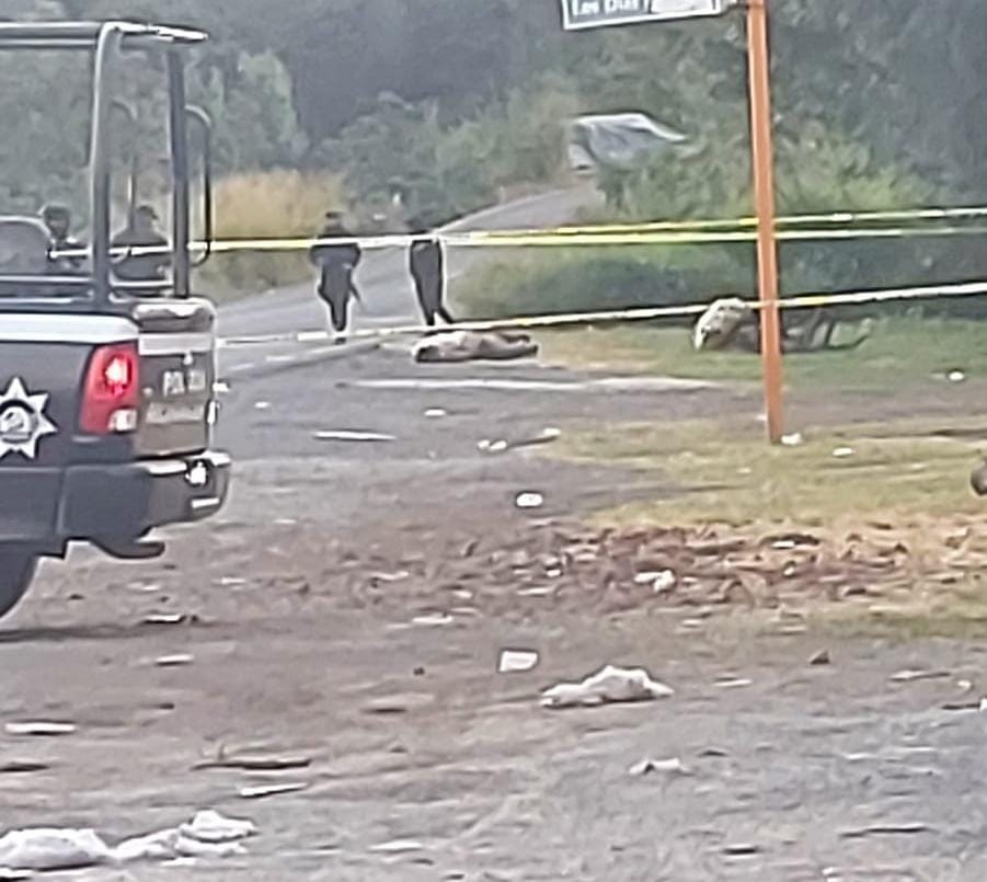 cuerpos sobre la carretera Lombardía