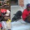 Hombre que se celebró cumpleaños con sus perros, recibe ayuda y hasta un hogar