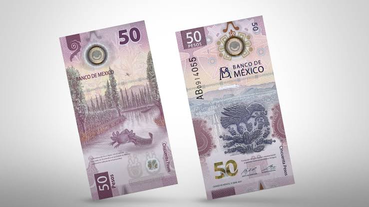 ¿Sabías que tu billete de $50 con el ajolote podría valer hasta $35,000