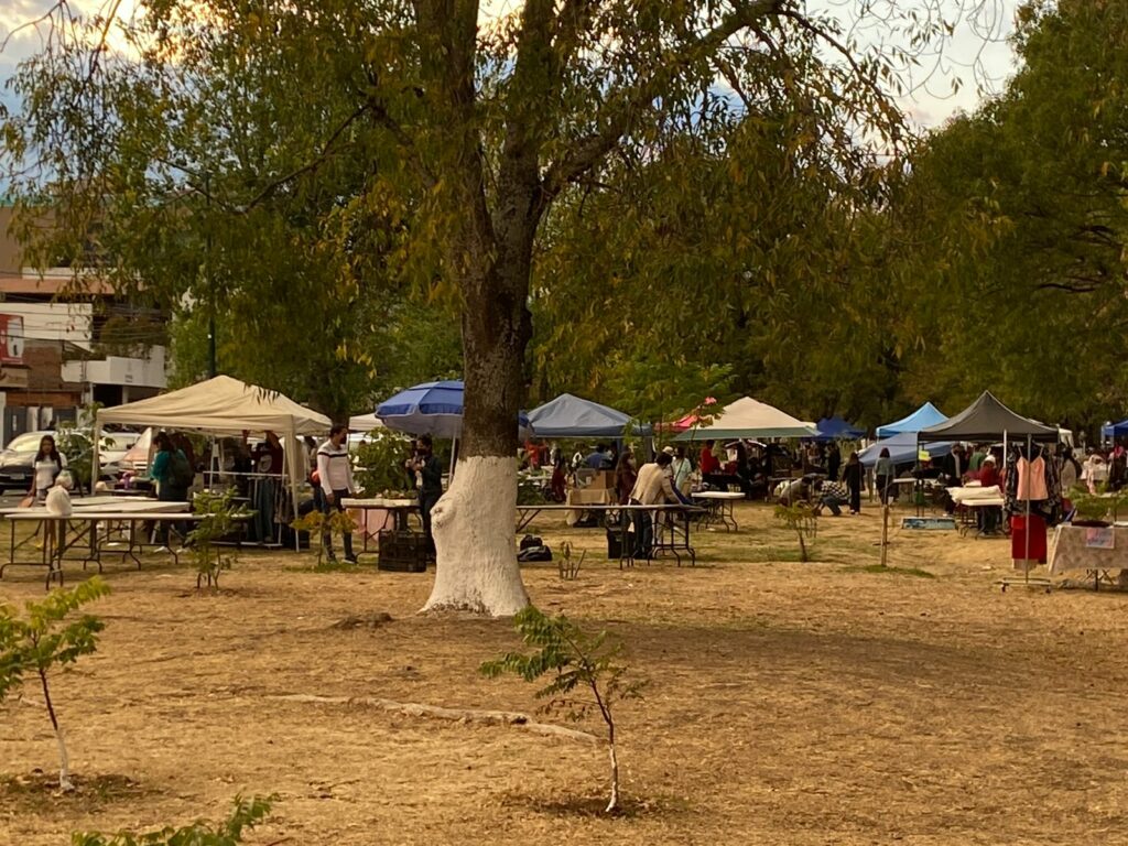 Vecinos denuncian Bazar Naranja