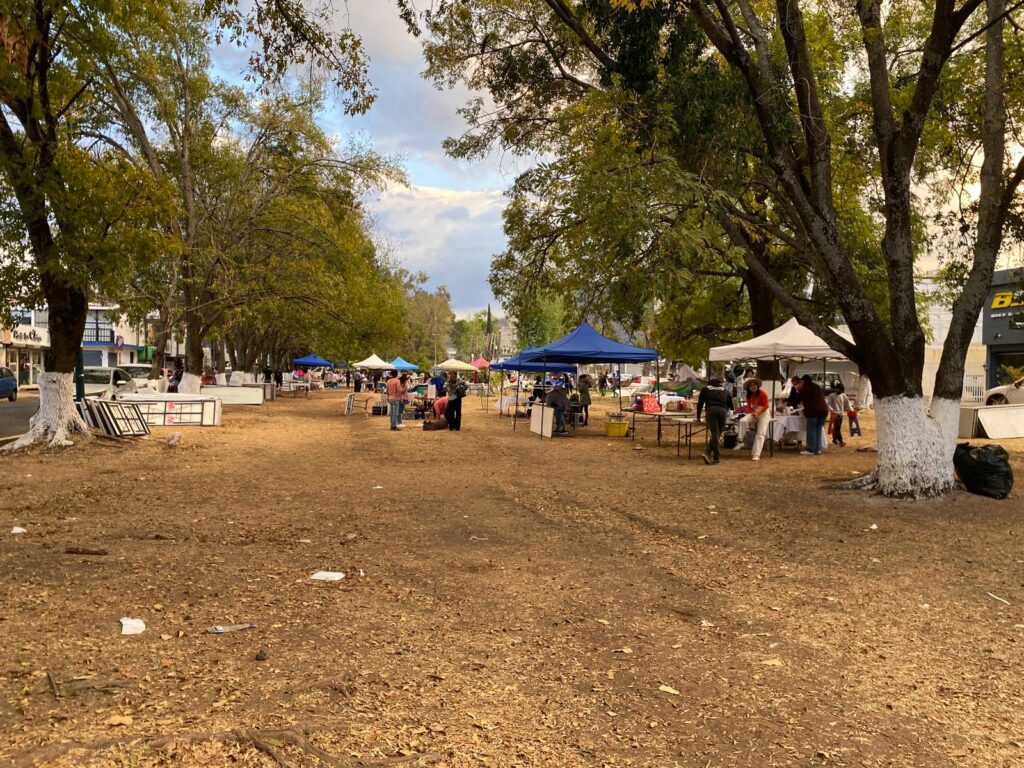 Vecinos denuncian Bazar Naranja